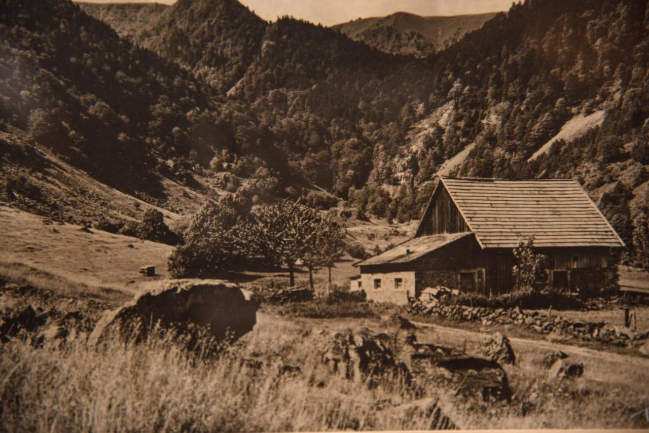 Hotel Deybach Munster  Eksteriør bilde